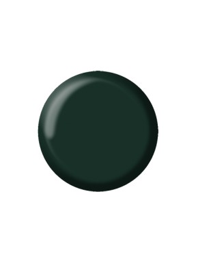 C17 CLASSIC GEL 5ml                       